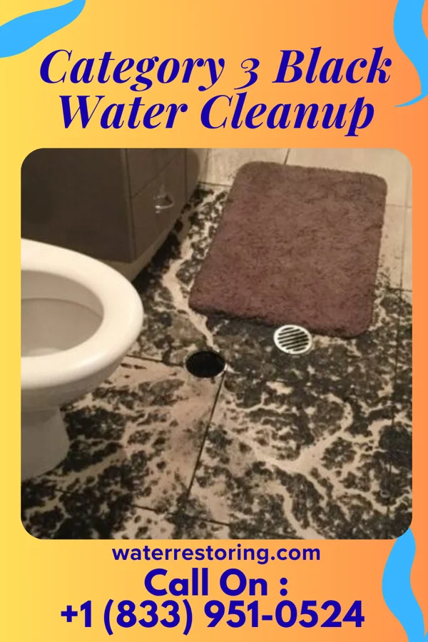 Category 3 Black Water Cleanup in Woodmoor, CO