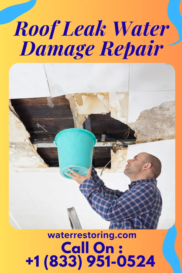 Roof Leak Water Damage Repair in Woodmoor, CO